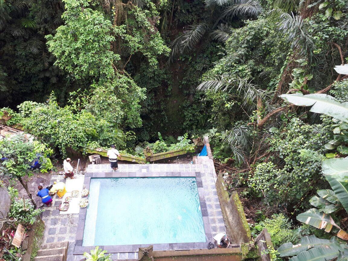Anggrek Mas Bed&Breakfast Hostel Ubud  Bagian luar foto