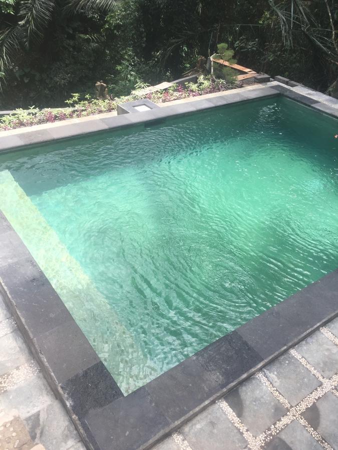 Anggrek Mas Bed&Breakfast Hostel Ubud  Bagian luar foto